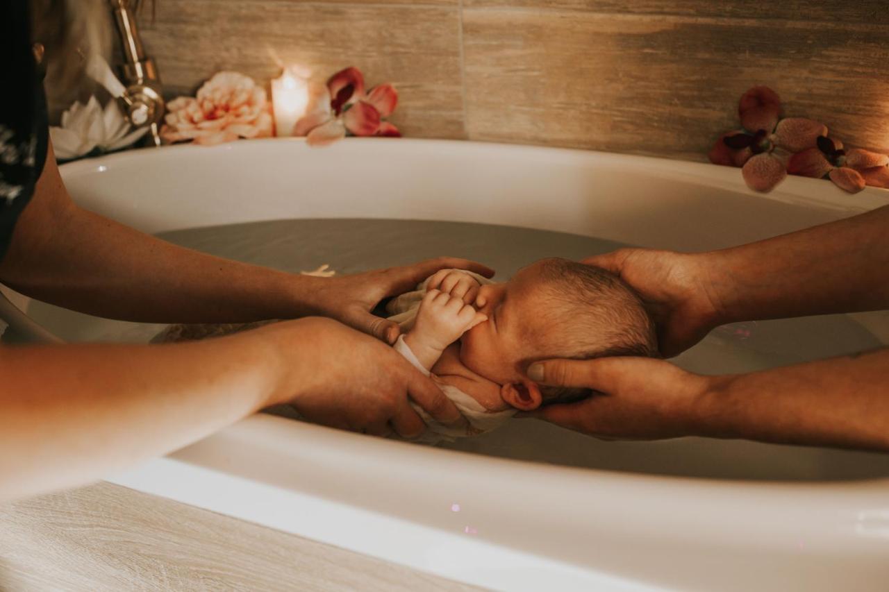 Abri Cosy - Suite Romantique En Camargue Saint-Gilles  Eksteriør billede