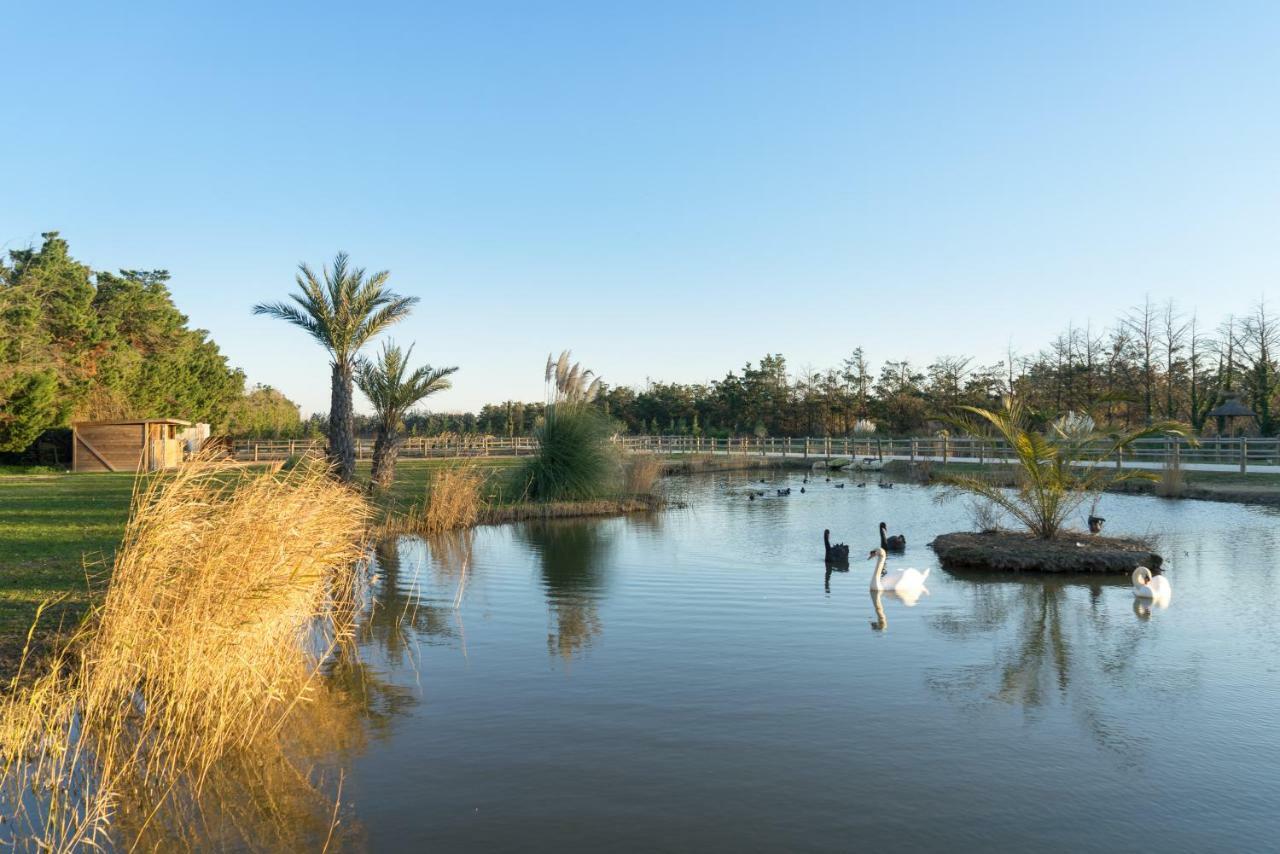 Abri Cosy - Suite Romantique En Camargue Saint-Gilles  Eksteriør billede